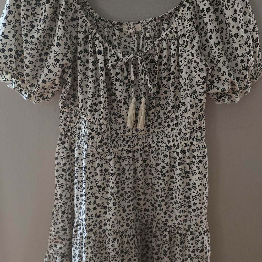 Blush Black and White Floral Patterned Dress